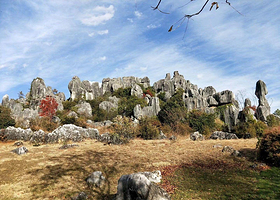 圭山国家森林公园