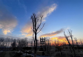 原木森林亲子农场