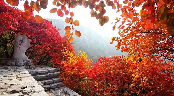 石门县