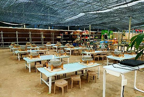 海口蘑法生态农场