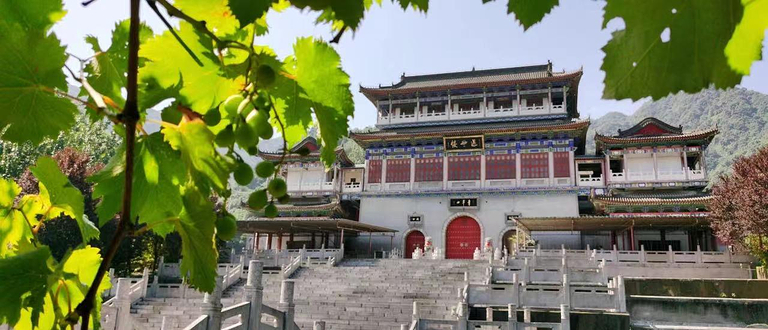 西青区