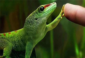 鸟巢生态科普博览馆