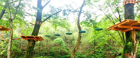 庐山西海凌峻丛林穿越