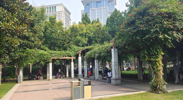金水区