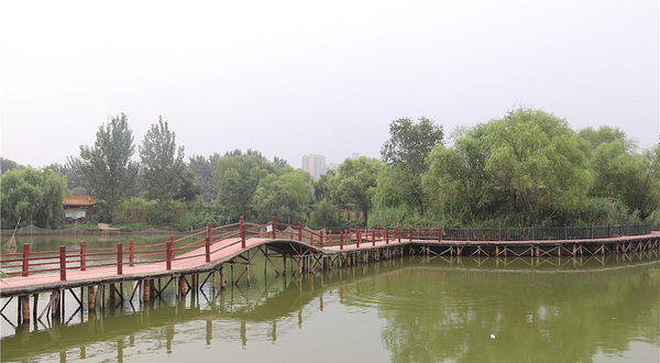 东昌湖湿地岛休闲渔业公园
