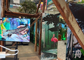 SAFARI 秘境方舟沉浸式动物展（重庆新光天地店）