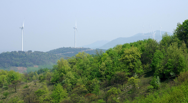 寿县