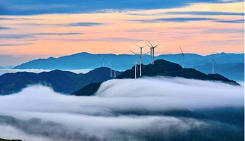 艺起富1号•枫槎艺术农场