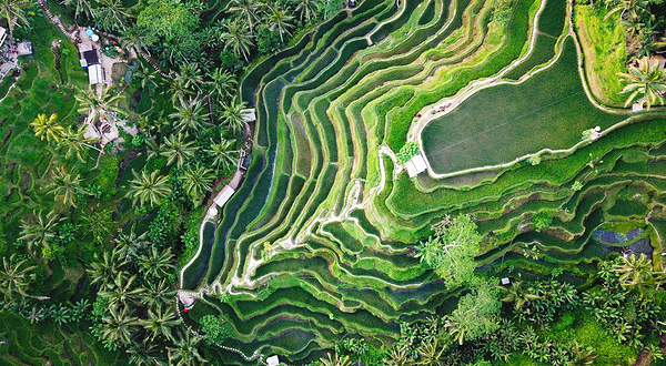 德格县