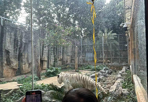 热作两院植物园