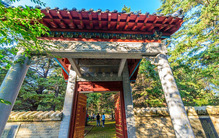 黑河高峰森林公园