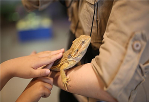 萌宠奇缘室内主题动物园