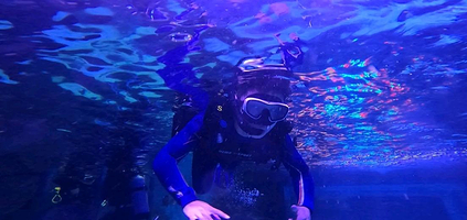 西浴场沉箱潜水