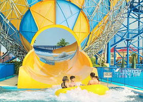 八尾猫欢乐世界