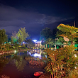 高黎贡山植物园