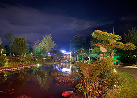 高黎贡山植物园