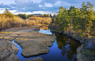 阿拉尔国家湿地公园
