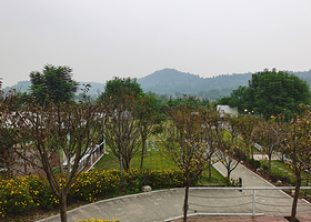 冲鸭梨花溪露营地