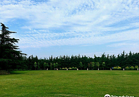 三门峡天鹅观赏区