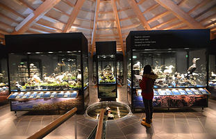 秦皇岛鸟类博物馆