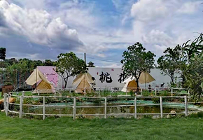 桃花源农场露营地