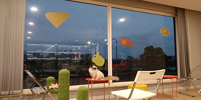 大橘大利猫咪主题馆