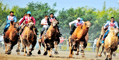 阿克塞哈萨克自治县国际赛马场