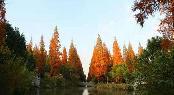 花溪区