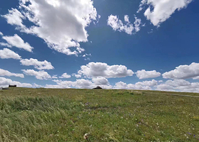 希拉穆仁草原塔布马场