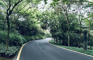 广西珍贵树种展示园