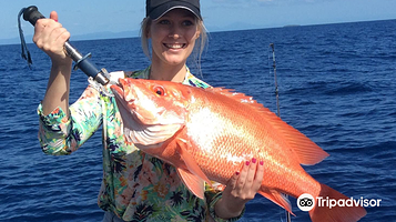 Cairns Reef Fishing
