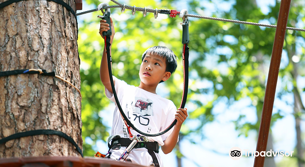 Datanla High Rope Course