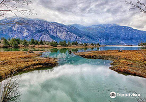 Squamish Estuary