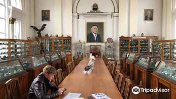 Geological Museum and Mineralogical Museum