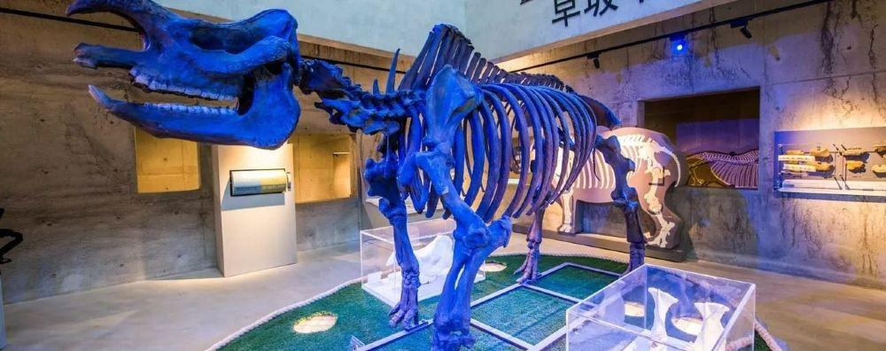 台南左镇化石园区
