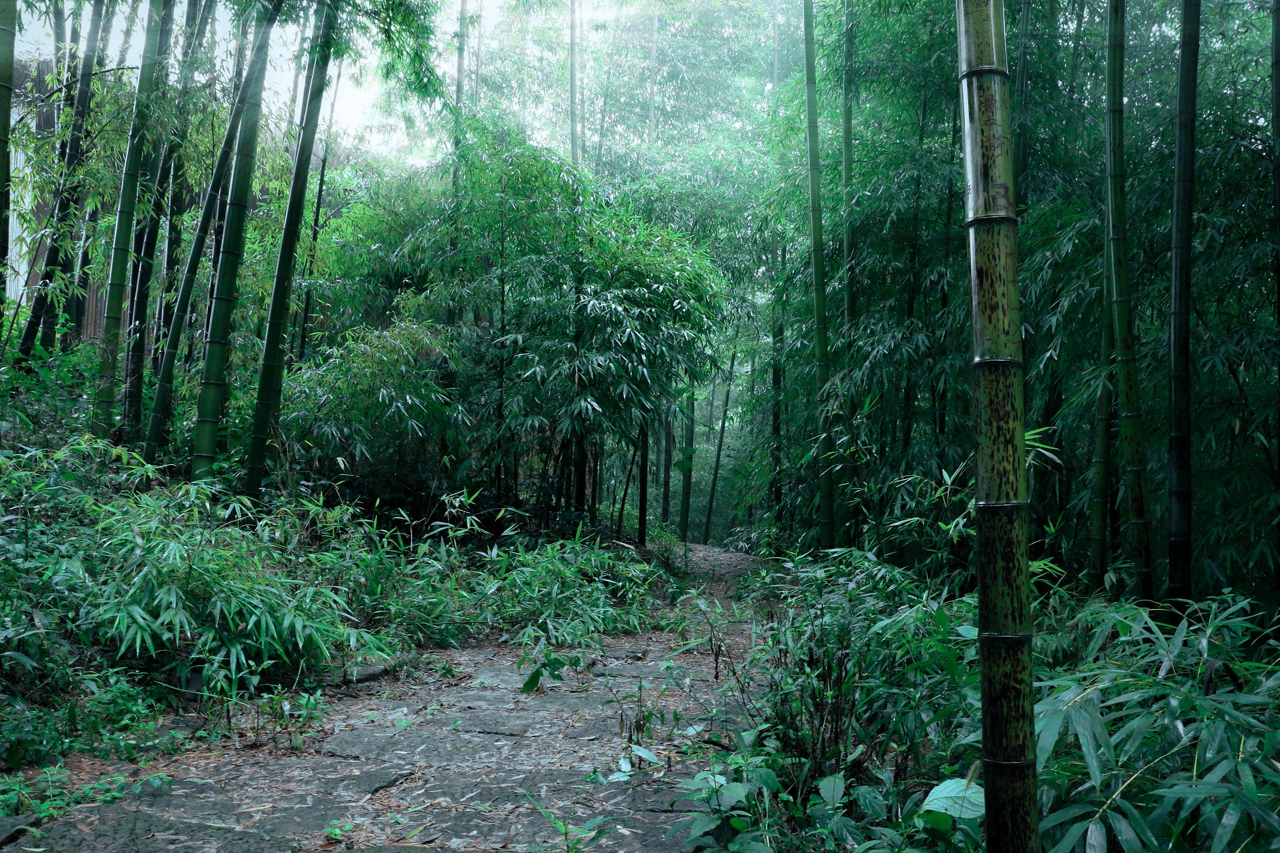 雨台山风景区
