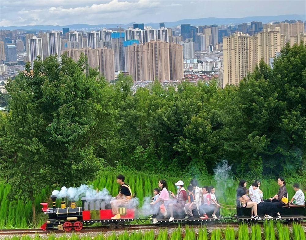 守望山·治愈系城市露营公园
