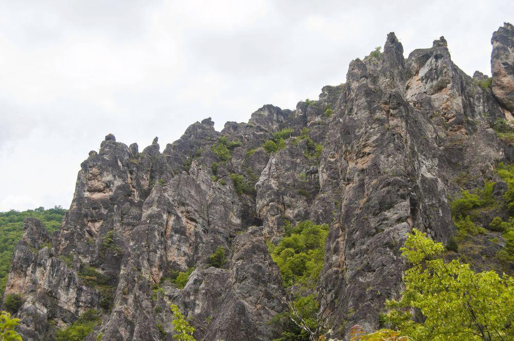 春湾风景区