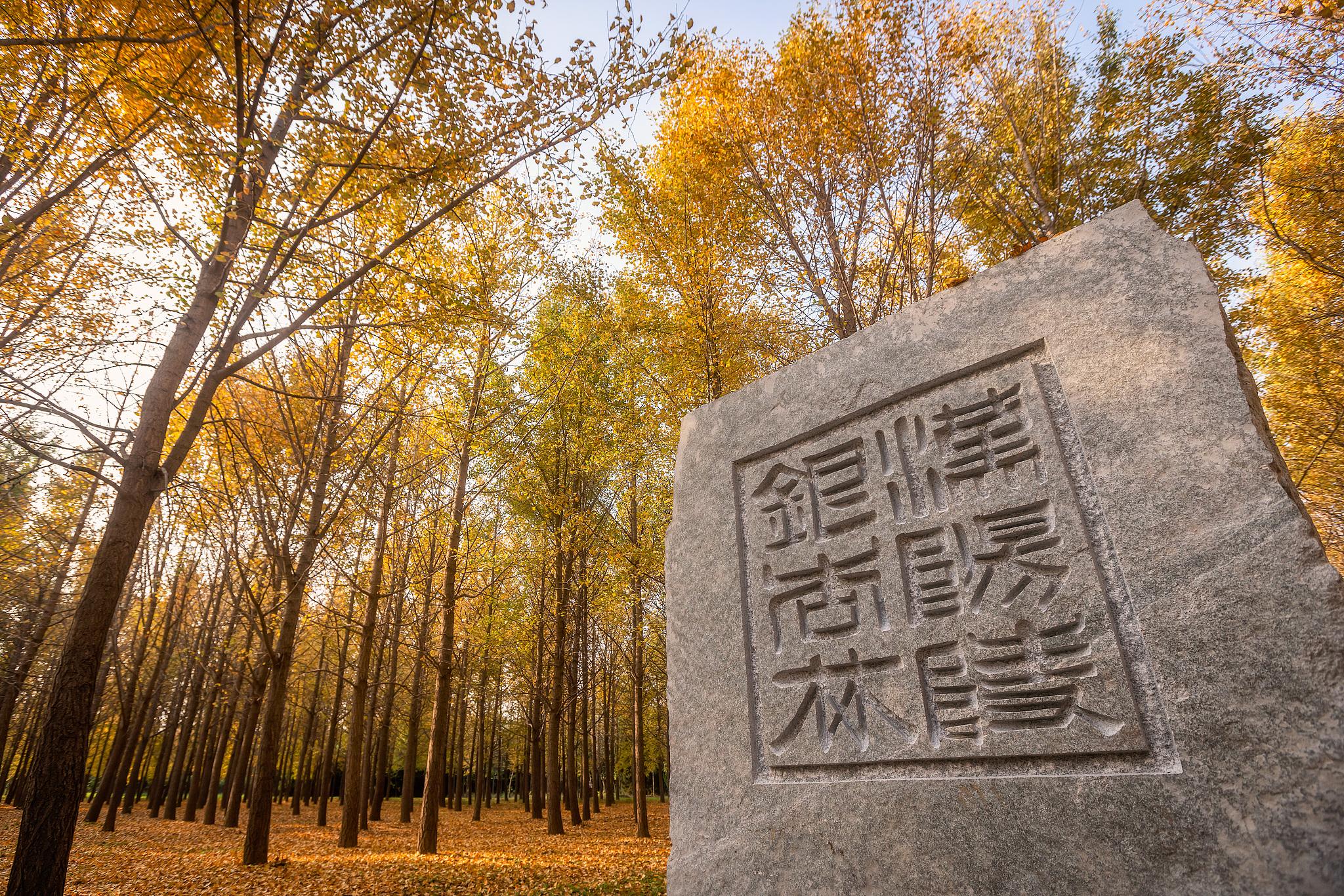 汉阳陵国家考古遗址公园