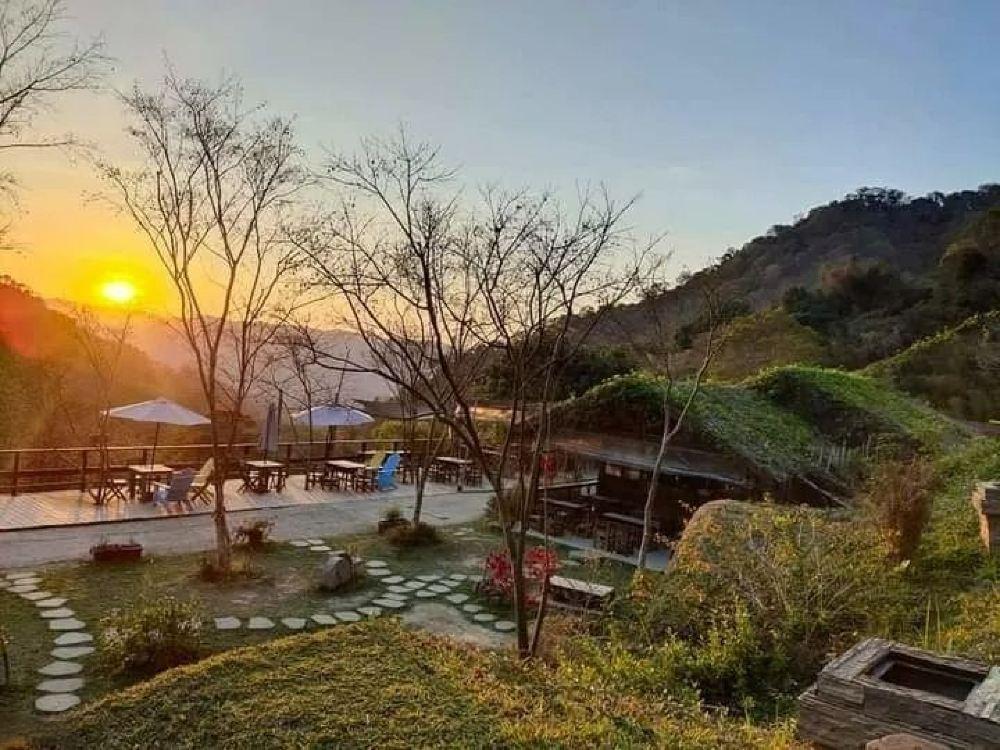 哈比丘茶树森林