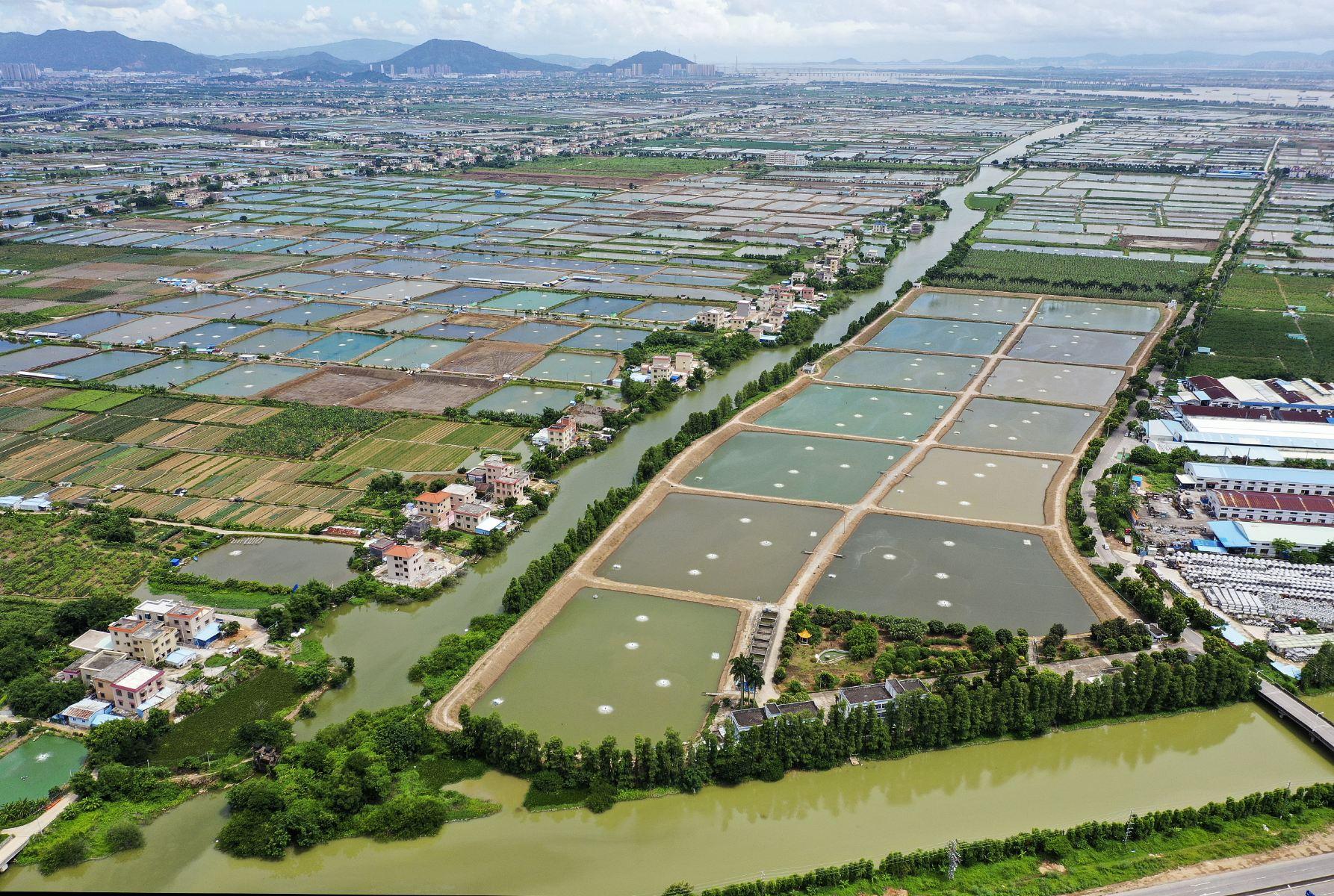 中山岭南水乡