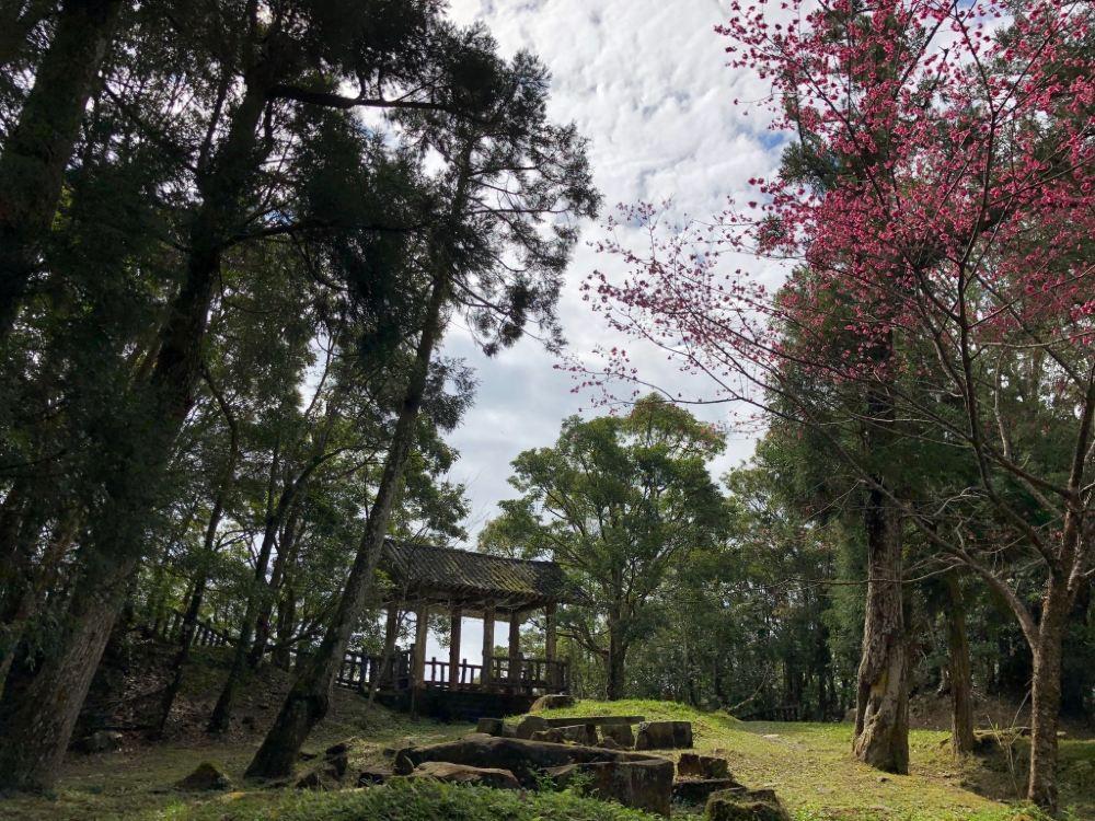 东眼山国家森林游乐区