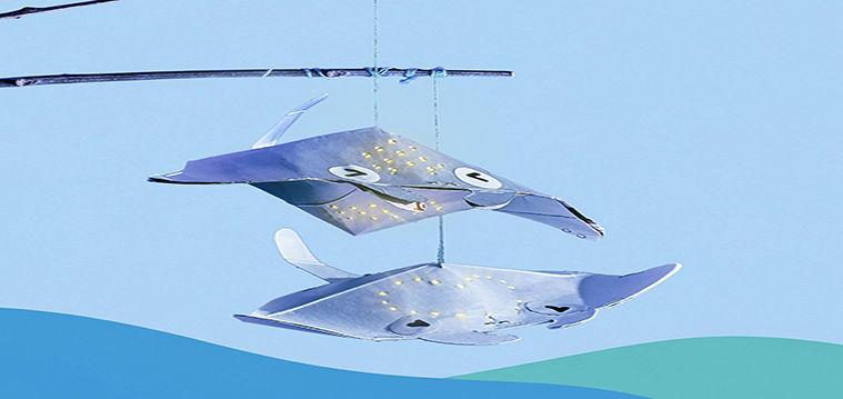 新加坡海洋生态馆