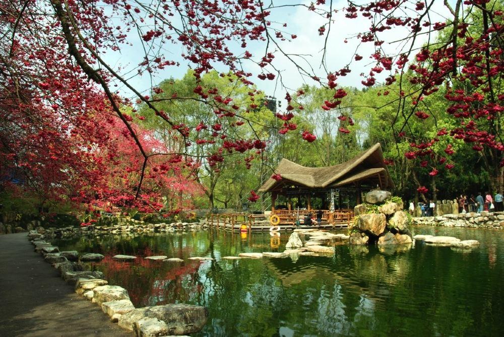 九族文化村