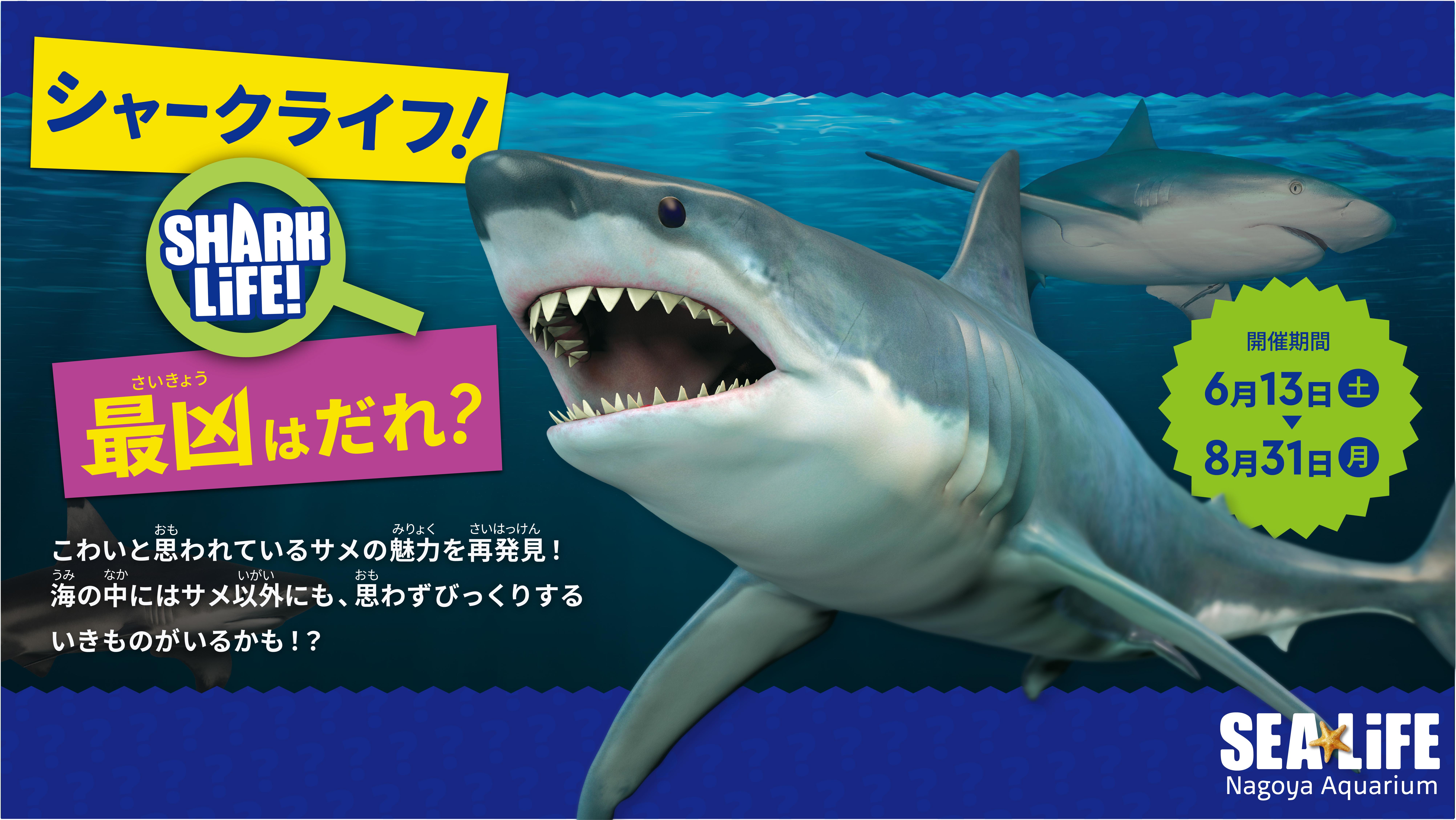 名古屋SEA LIFE水族馆