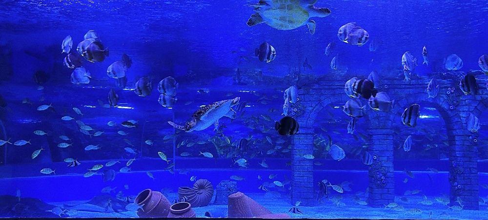 海底世界(苏州乐园馆)