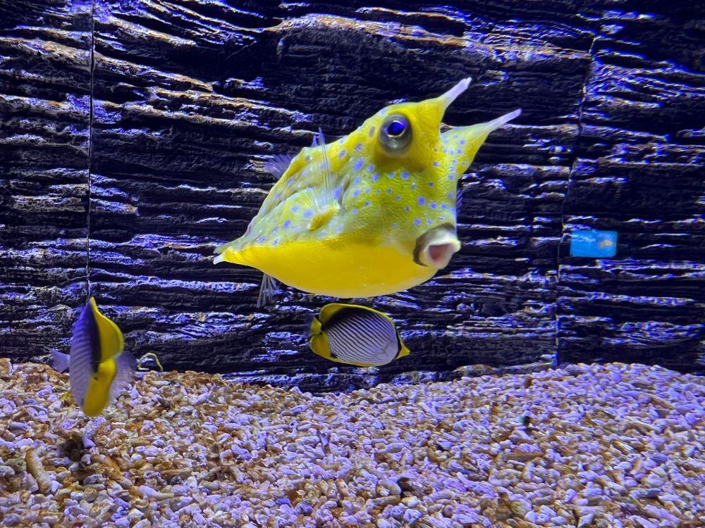 海底世界(苏州乐园馆)