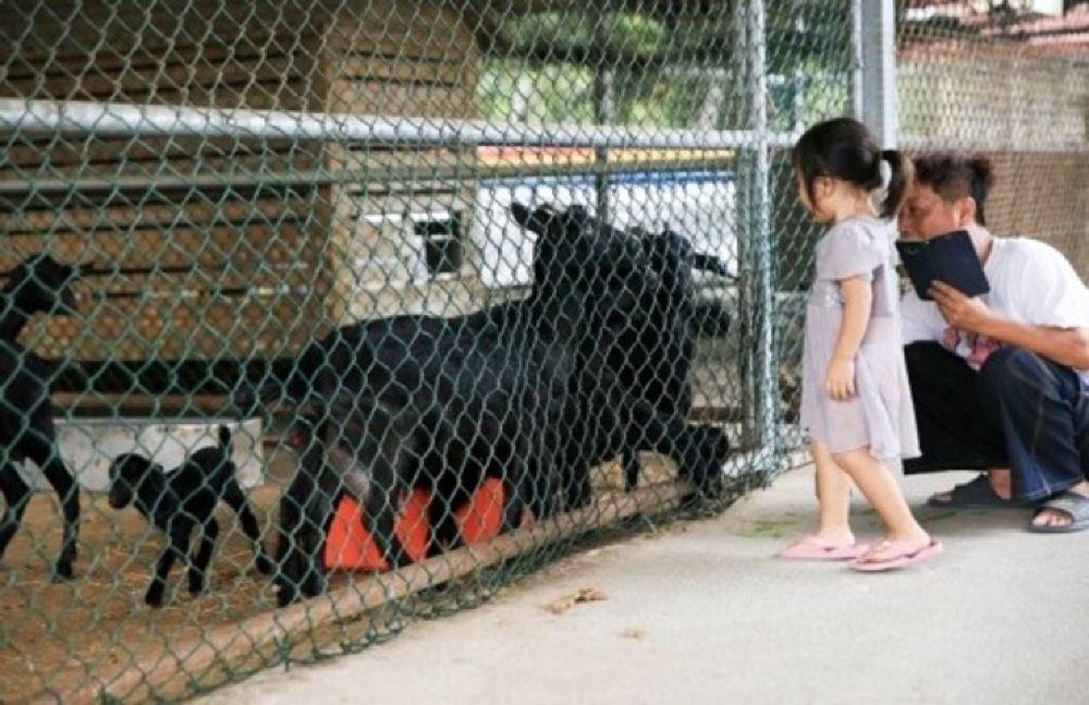 走马濑农场