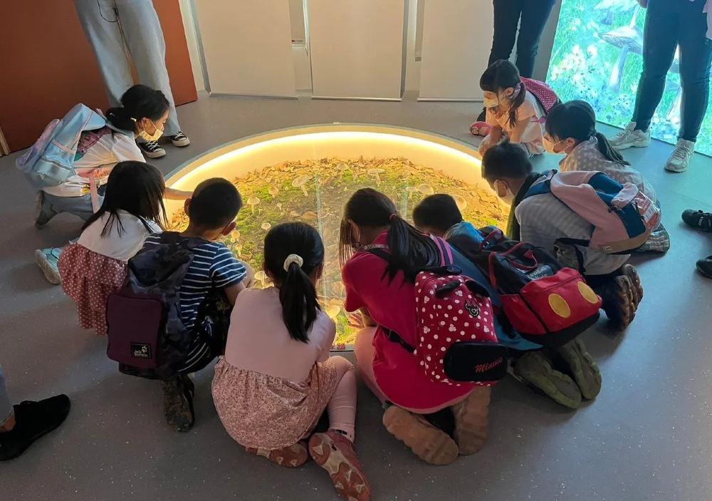 雾峰菇类产学馆