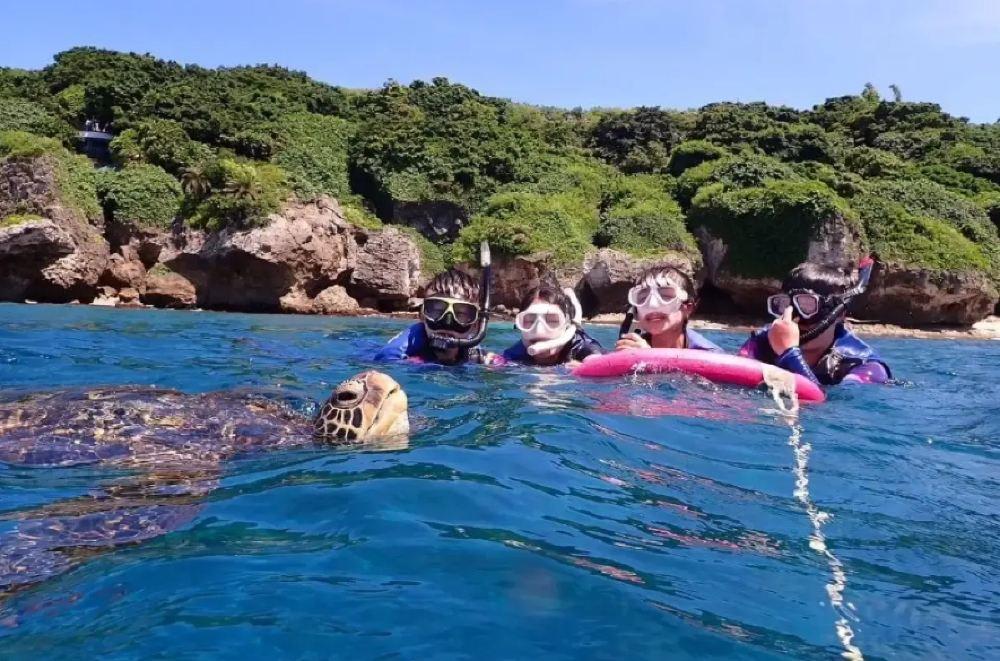 小海龟活动中心